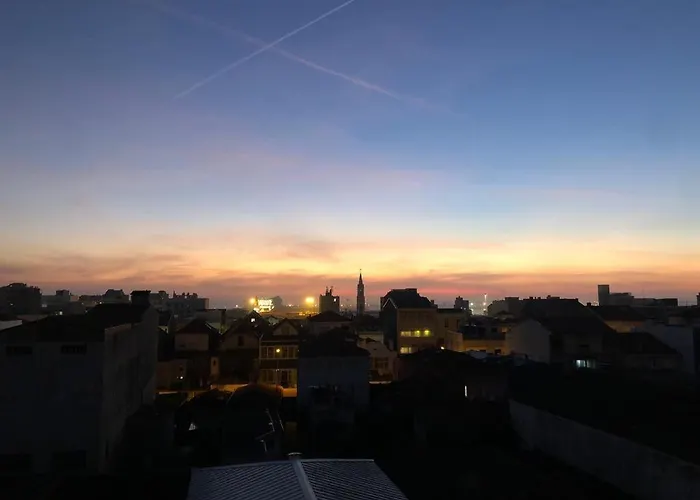 Sunset 마토지뉴스