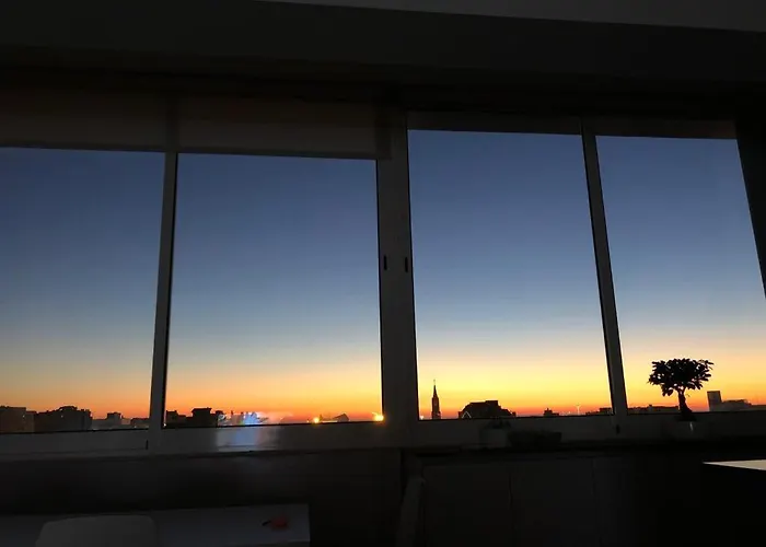 Sunset * 마토지뉴스